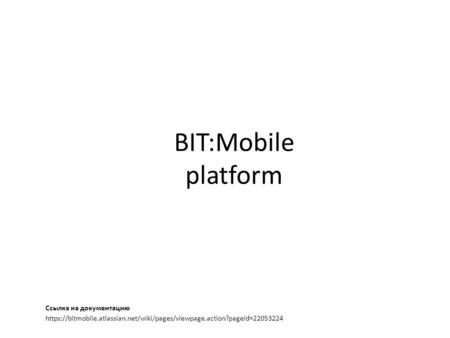 BIT:Mobile platform https://bitmobile.atlassian.net/wiki/pages/viewpage.action?pageId=22053224 Ссылка на документацию.