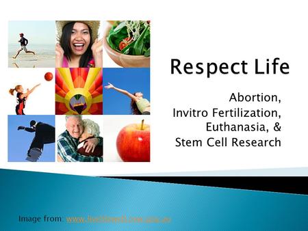 Abortion, Invitro Fertilization, Euthanasia, & Stem Cell Research Image from: www.livelifewell.nsw.gov.auwww.livelifewell.nsw.gov.au.