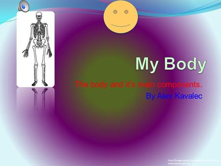 The body and it’s main components. By Alex Kavalec