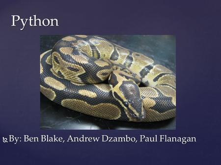 Python  By: Ben Blake, Andrew Dzambo, Paul Flanagan.