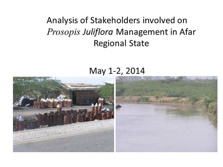 Analysis of Stakeholders involved on Prosopis Juliflora Management in Afar Regional State May 1-2, 2014.