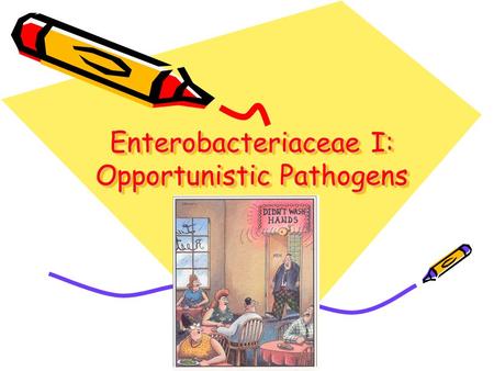 Enterobacteriaceae I: Opportunistic Pathogens