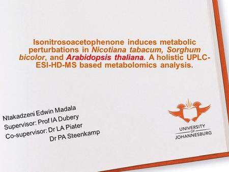 Isonitrosoacetophenone induces metabolic perturbations in Nicotiana tabacum, Sorghum bicolor, and Arabidopsis thaliana. A holistic UPLC-ESI-HD-MS based.