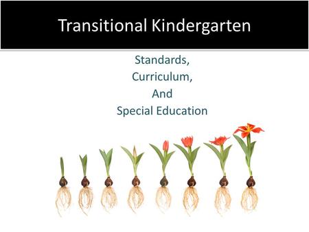 Transitional Kindergarten Standards, Curriculum, And Special Education.