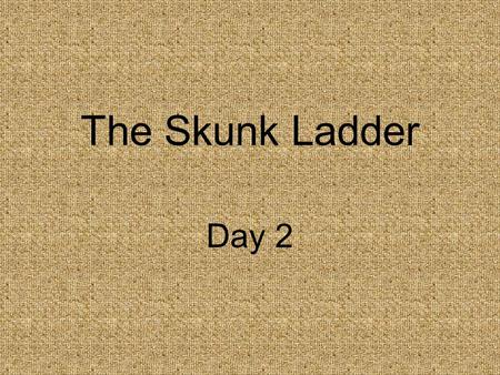 The Skunk Ladder Day 2.
