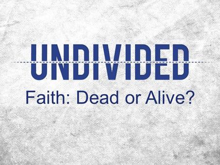 Faith: Dead or Alive?. Q: Can faith alone (without works) save? A: No! Faith alone cannot save! Sola Fide! Faith: Dead or Alive?