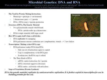 Microbial Genetics: DNA and RNA What chemical carries the genetic instructions in cells, and how is this chemical reproduced? How is this chemical used.