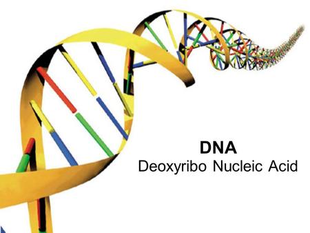 DNA Deoxyribo Nucleic Acid. DNA or Proteins? Scientists debated which was the genetic material A couple of experiments showed that altering DNA changed.