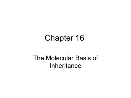 Chapter 16 The Molecular Basis of Inheritance. But first… Bessbugs! (Bess beetles)