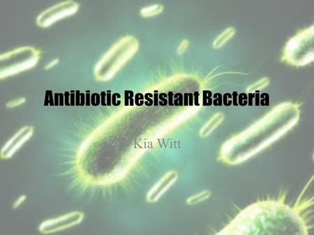 Antibiotic Resistant Bacteria Kia Witt. Why are Bacteria Becoming Antibiotic Resistant? Doctors liberally prescribe antibiotics, often for infections.