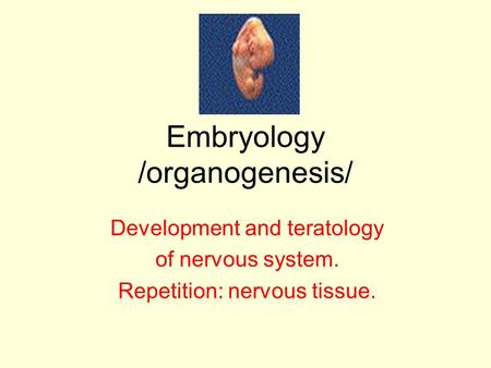 Embryology /organogenesis/ Development and teratology of nervous system. Repetition: nervous tissue.