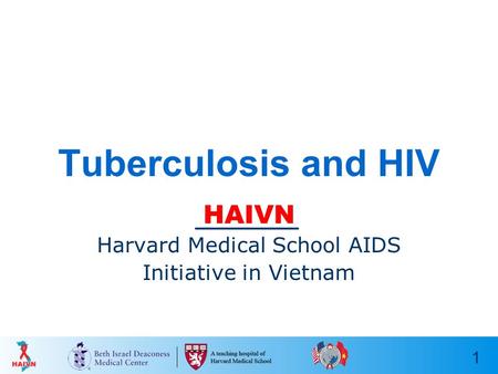 HAIVN Harvard Medical School AIDS Initiative in Vietnam