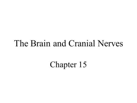 The Brain and Cranial Nerves