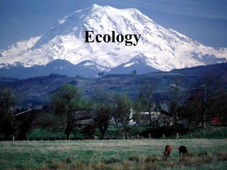 Ecology. A. Definition The study of the interactions between organisms & organisms with their environment. I. Introduction B. Parameters 1. Abiotic –