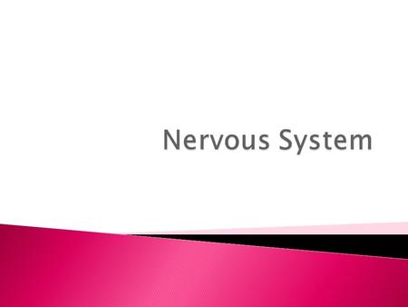  PT PT  PT 2 PT 2  The nervous system has been compared with a computer system, with the brain acting as the central processing unit, relaying.
