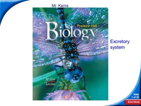 End Show Slide 1 of 36 Biology Mr. Karns Excretory system.