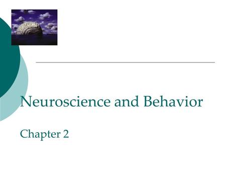Neuroscience and Behavior Chapter 2. The Brain!  Takes care of all our required tasks (some we do not even give a second thought).  The more complex.
