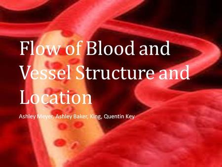 Flow of Blood and Vessel Structure and Location Ashley Meyer, Ashley Baker, King, Quentin Key.