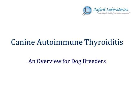 Canine Autoimmune Thyroiditis An Overview for Dog Breeders.