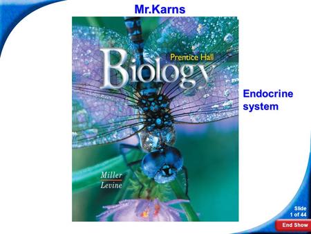 Biology Mr.Karns Endocrine system.