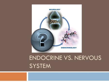 ENDOCRINE VS. NERVOUS SYSTEM Function?  Coordinate body functions (Both)  Often work together.