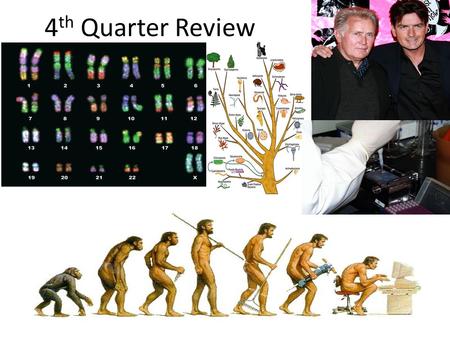 4 th Quarter Review. Topics 1.Pattern of Inheritance 2.Advances in Molecular Genetics 3.Human Genetic Traits 4.Classification 5.Origin of Life 6.Evolution.
