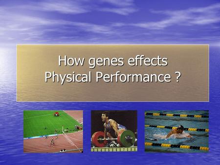 How genes effects Physical Performance ?. Phenotypes and Genotypes Giro vite.