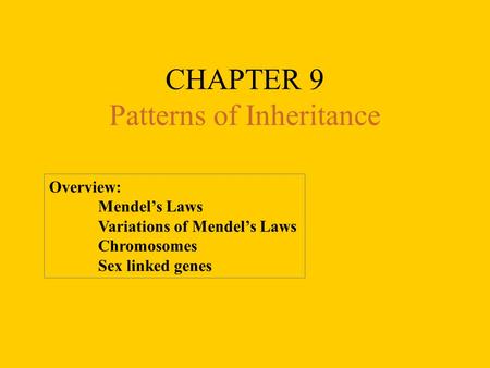 CHAPTER 9 Patterns of Inheritance