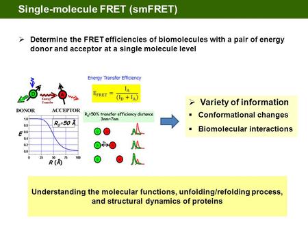Single-molecule FRET (smFRET)