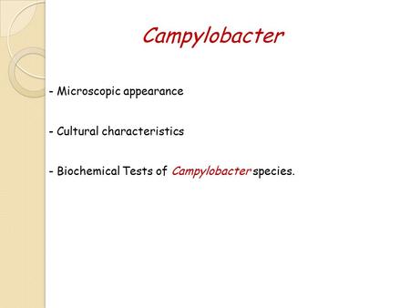 Campylobacter - Microscopic appearance - Cultural characteristics