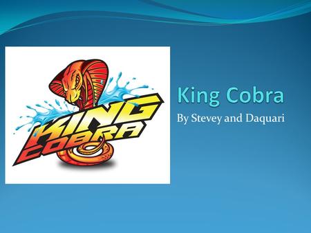King Cobra By Stevey and Daquari.