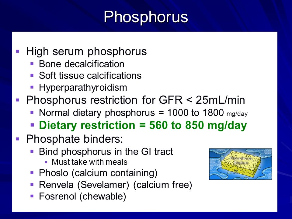 What Foods Are High In Phosphorus