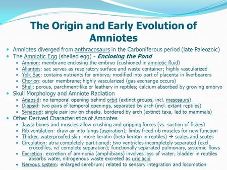 The Origin and Early Evolution of Amniotes Amniotes diverged from anthracosaurs in the Carboniferous period (late Paleozoic) The Amniotic Egg (shelled.