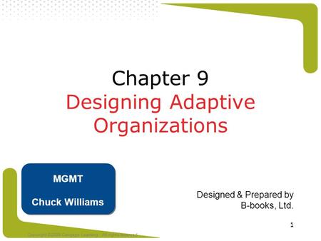 Chapter 9 Designing Adaptive Organizations