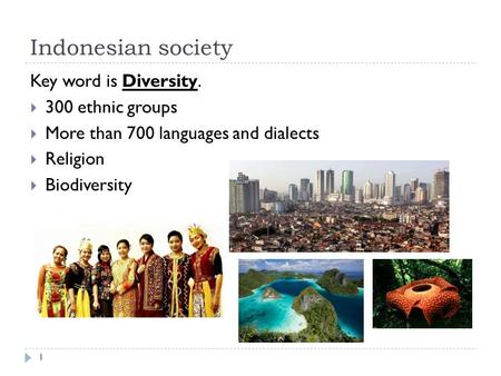 Indonesian society Key word is Diversity.  300 ethnic groups  More than 700 languages and dialects  Religion  Biodiversity 1.