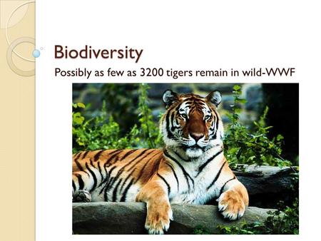 Biodiversity Possibly as few as 3200 tigers remain in wild-WWF.