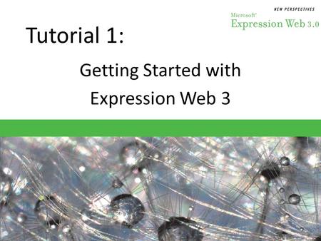 Getting Started with Expression Web 3