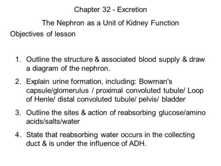 Objectives of lesson 1. Outline the structure & associated blood supply & draw a diagram of the nephron. 2. Explain urine formation, including: Bowman's.