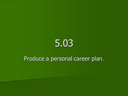 Produce a personal career plan.