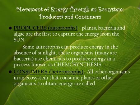 Movement of Energy Through an Ecosystem: Producers and Consumers PRODUCERS (autotrophs) –plants, bacteria and algae are the first to capture the energy.