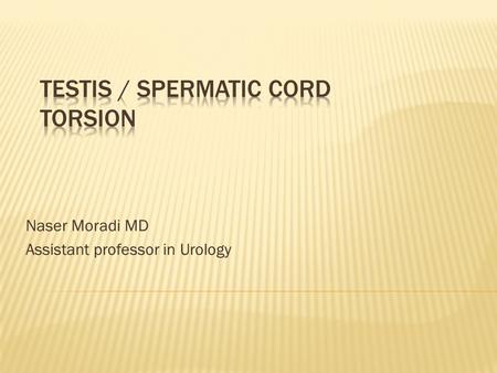 Testis / Spermatic cord TORSION