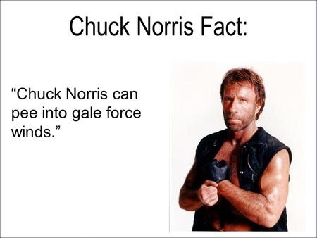 Chuck Norris Fact: “Chuck Norris can pee into gale force winds.”