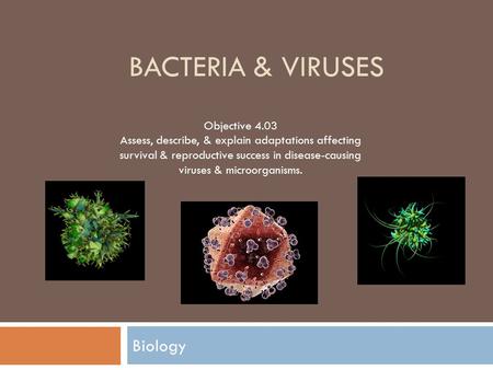 Bacteria & Viruses Biology Objective 4.03