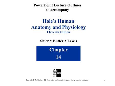 1 PowerPoint Lecture Outlines to accompany Hole’s Human Anatomy and Physiology Eleventh Edition Shier  Butler  Lewis Chapter 14 Copyright © The McGraw-Hill.