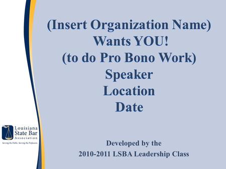 Developed by the 2010-2011 LSBA Leadership Class.