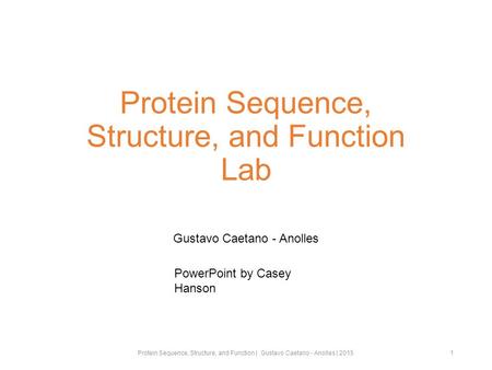 Protein Sequence, Structure, and Function Lab Gustavo Caetano - Anolles 1 PowerPoint by Casey Hanson Protein Sequence, Structure, and Function | Gustavo.