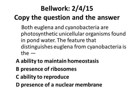 Bellwork: 2/4/15 Copy the question and the answer
