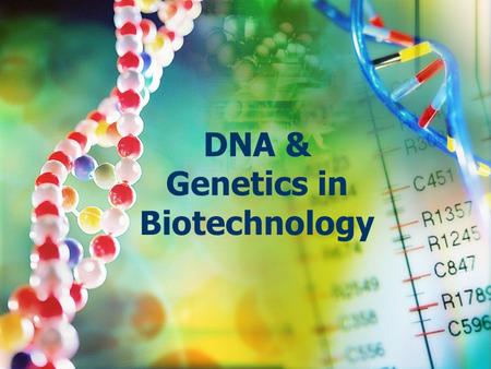 DNA & Genetics in Biotechnology. What is a DNA? A nucleic acid that carries the genetic information in the cell and is capable of self-replication and.