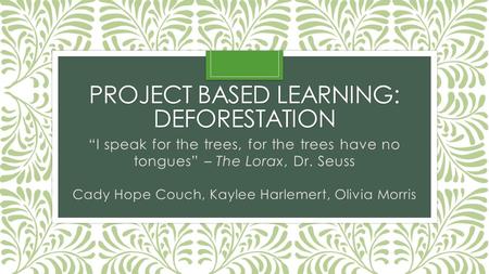 Project Based Learning: Deforestation