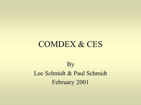 COMDEX & CES By Lee Schmidt & Paul Schmidt February 2001.